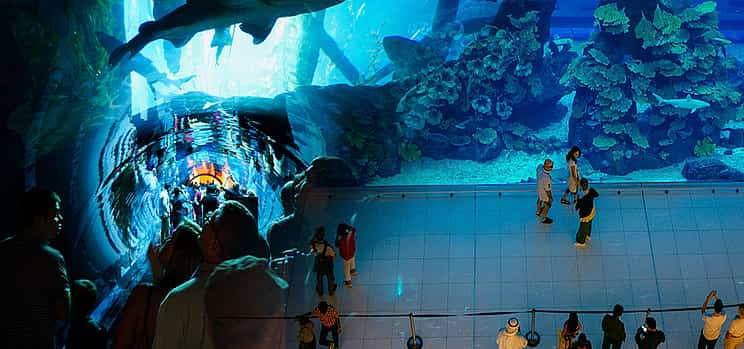 Photo 1 Burj Khalifa 148th floor visit, Dubai Mall shopping, Aquarium & Zoo Visit & Desert Safari with BBQ Dinner