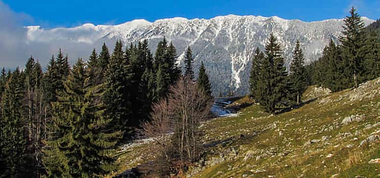 Photo 1 Day Trip to Piatra Craiului mountains & main ridge