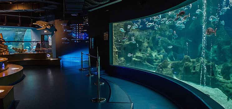 Photo 1 Cretaquarium Tour From Heraklion - Pick up from Kokkini Hani to Malia
