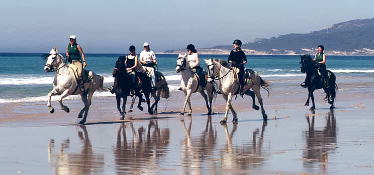 Photo 1 Seaside Horse Riding