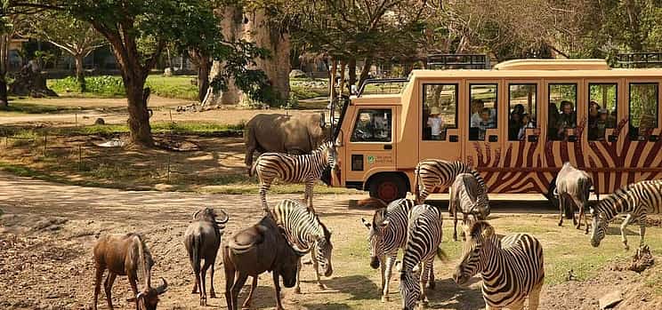 Photo 1 Bali Safari Jungle Hopper Experience with Safari Tram