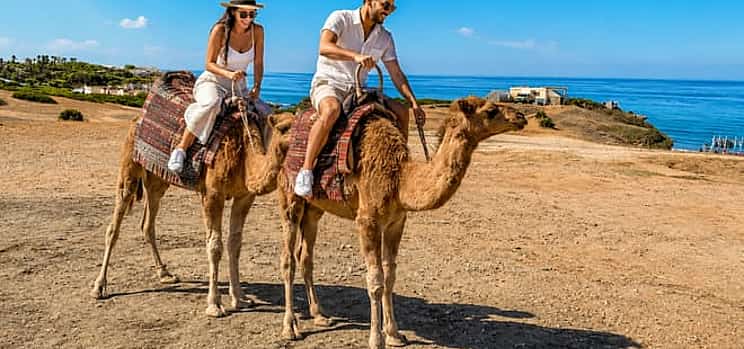 Photo 1 Tangier Camel Ride Tour with Pick-up and Drop-off