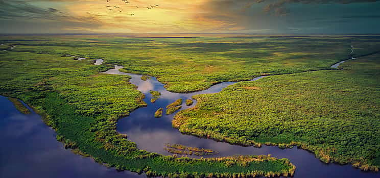 Фото 1 Бесконечная река травы