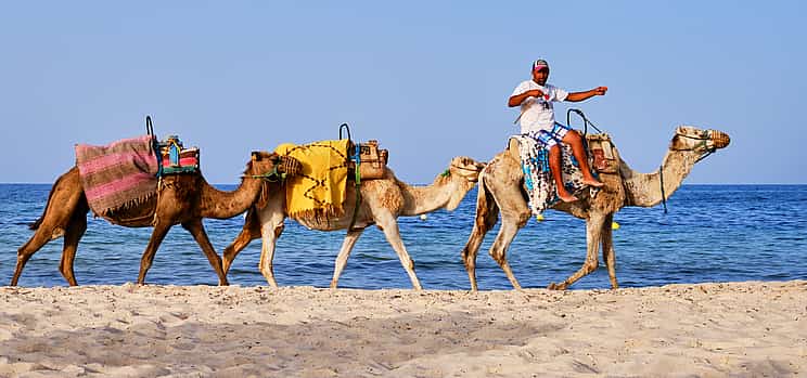 Foto 1 Camel Ride in Agadir