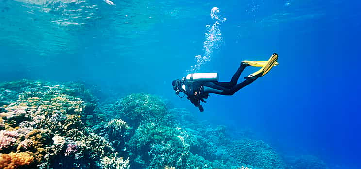Photo 1 PADI Rescue Diver Certification Course
