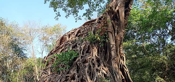 Photo 1 One Day Private Tour to Sambor Prei Kuk Group & Floating Village