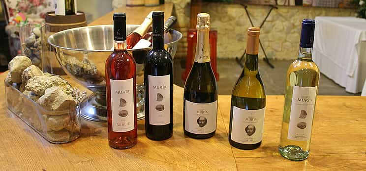 照片 1 Northern Lisbon Wine Tasting