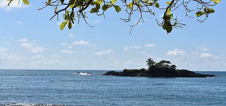 Photo 1 Direct Transfer From San Jose to Monteverde, English Speaking Driver