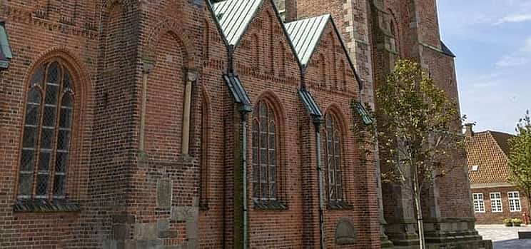 Photo 1 Private Transfer From Copenhagen to Ribe