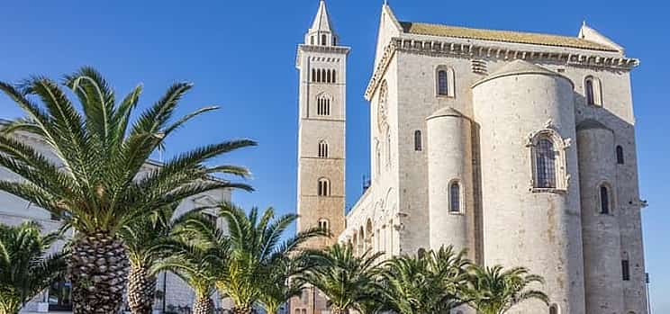 Photo 1 Private transfer: Naples to Lecce,2h of sightseeing stop in Trani