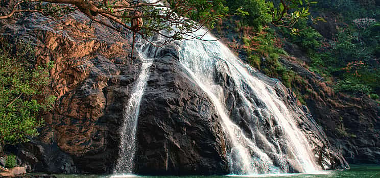 Photo 1 Dudhsagar Falls Tour
