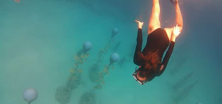Photo 1 Snorkelling on MUSAN (underwater museum of Ayia Napa)