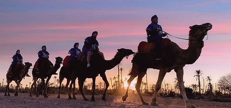 Photo 1 Camel ride in Marrakech Palmeraie Oasis