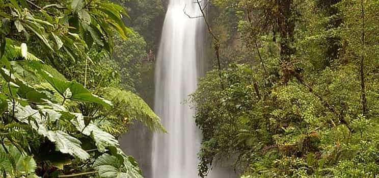 Photo 1 Private Transfer From San Jose to Cahuita With 2 Stops