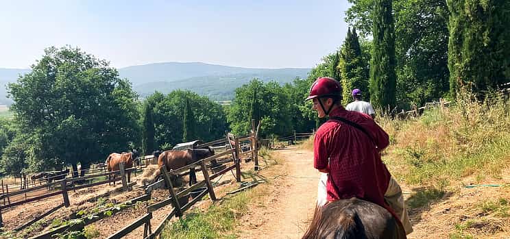 Photo 1 Tuscan Hills Horseback Riding Tour from Siena