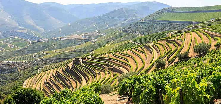 Photo 1 Douro Valley Private Wine Tour with 3 Wineries