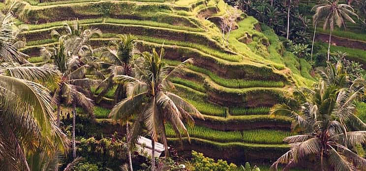 Photo 1 Ubud Temples, Waterfalls, Rice Terraces & Balinese Culture
