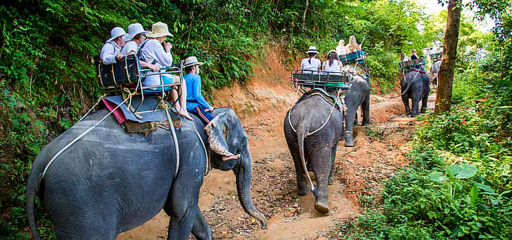 Foto 1 Phuket: Rafting en bambú, Senderismo en elefante con paseo en quad de 15 minutos