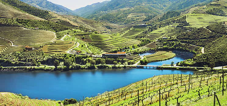 Photo 1 Douro Valley Wine Tour with 2 Wineries, Lunch and River Cruise