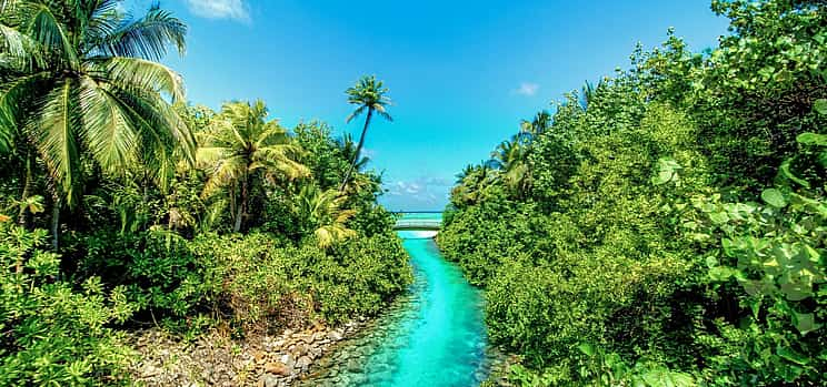 Photo 1 An Insight into Maldives Marine Conservation