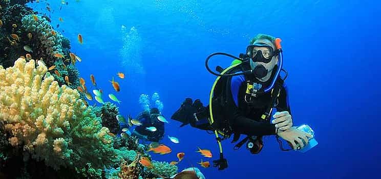 Photo 1 Dive Hurghada Daily