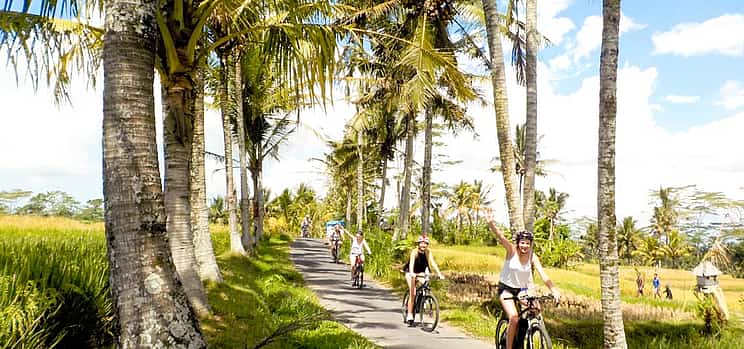 照片 1 E-bike Ubud to Tirta Empul Trip