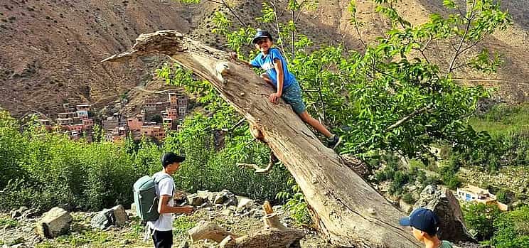 Photo 1 Marrakech: Atlas Mountains, Ourika Valley, Waterfall with Lunch