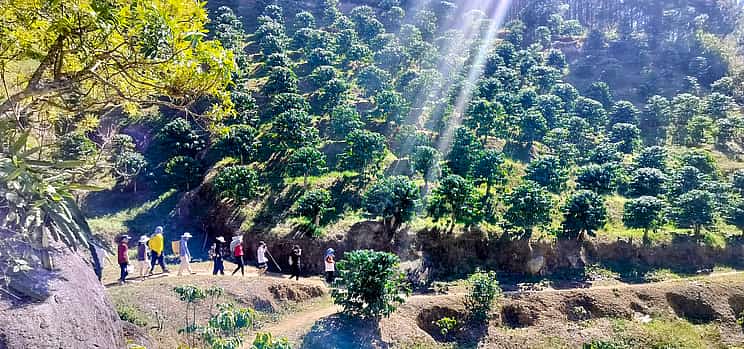 Photo 1 5 Days Authentic Dalat Coffee Farm & Hiking Experience
