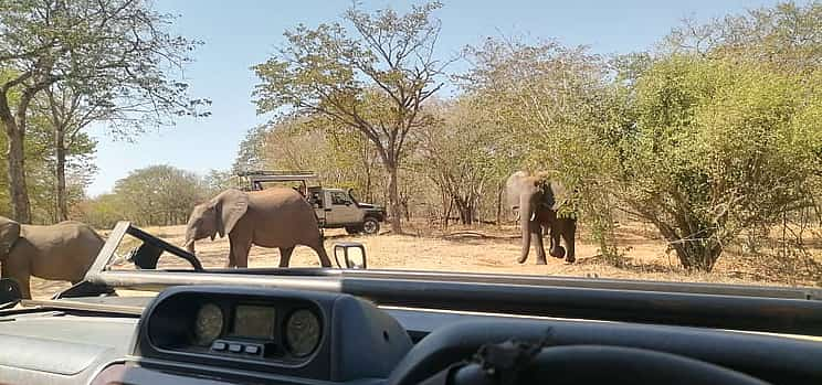 Фото 1 Half Day Chobe Trip