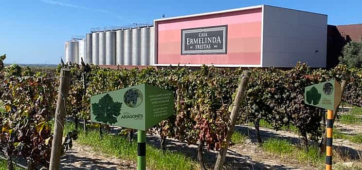 Fotografie 1 Private Lisbon Southern Region (Fernão Pó) Wine Tasting Tour