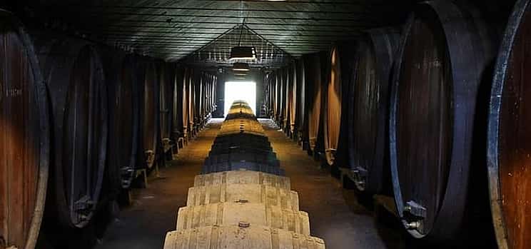 Fotoğraf 1 Discover the Wines of Setúbal: A Private Wine Adventure from Lisbon