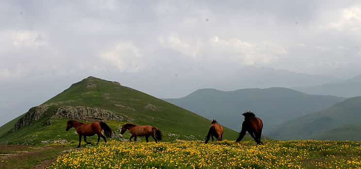 Photo 1 2-day Alpine Meadow Horseback Riding Tour in Armenia