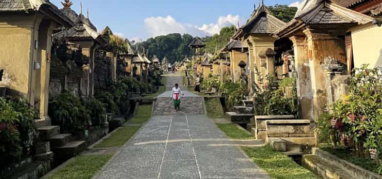 Фото 1 Bali’s Hidden Gems: Penglipuran Village, Coffee Tasting & Tibumana Waterfall