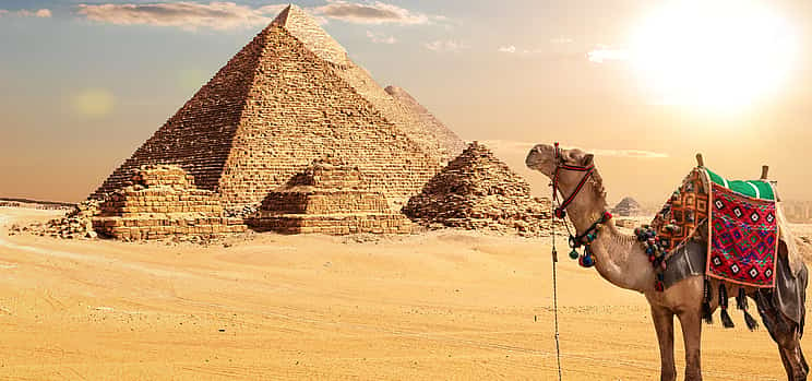 Photo 1 Half-day Giza Pyramids and Sphinx Tour with Camel Ride