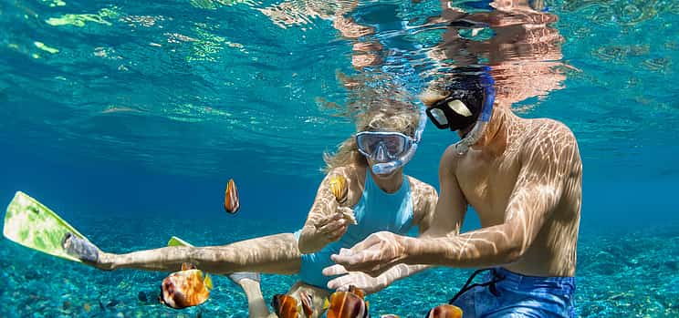 صورة 1 Snorkeling Full-day Tour to Nusa Lembongan and Nusa Penida