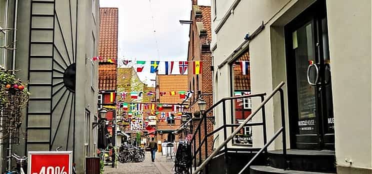 Photo 1 Private Transfer From Aalborg To Copenhagen 2 Hour Stop in Odense