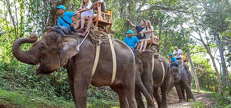 Photo 1 An Unforgettable Elephant Ride at Bali Zoo