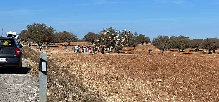 Photo 1 Full Day trip to Essaouira from Marrakech