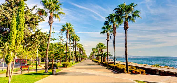 Photo 1 Discover the Island Cyprus
