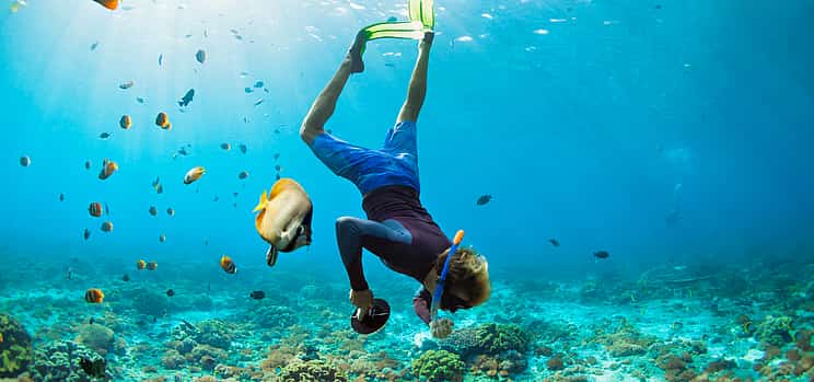 Photo 1 Blue Lagoon and Tanjung Jepun Snorkeling Private Tour