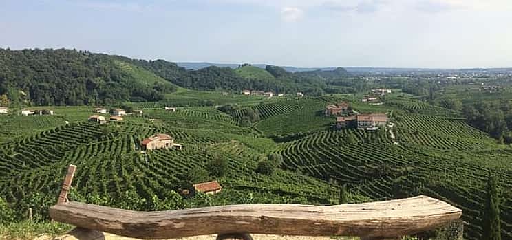 صورة 1 Wine tour & tasting - Prosecco Experience