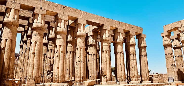 Photo 1 Half-day Tour to Karnak  and Luxor Temples