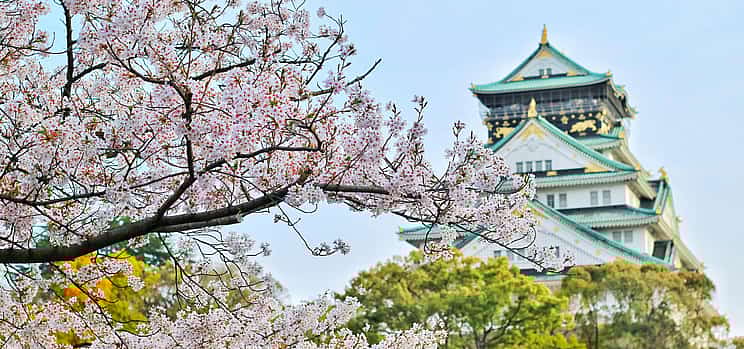 Photo 1 Fun Osaka Day Tour: Culture, Castles & Local Eats