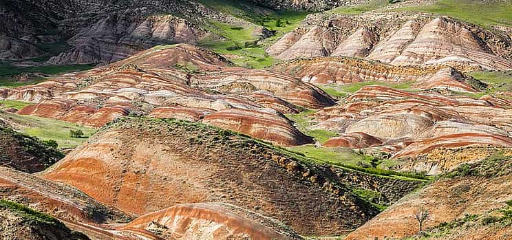 Photo 1 Day Trip to Rainbow Mountains and David Gareja