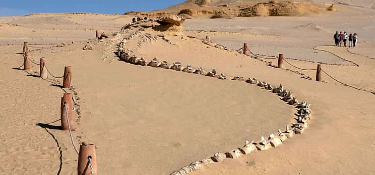 Photo 1 The Hidden Gems of Fayoum Oasis - Private Tour