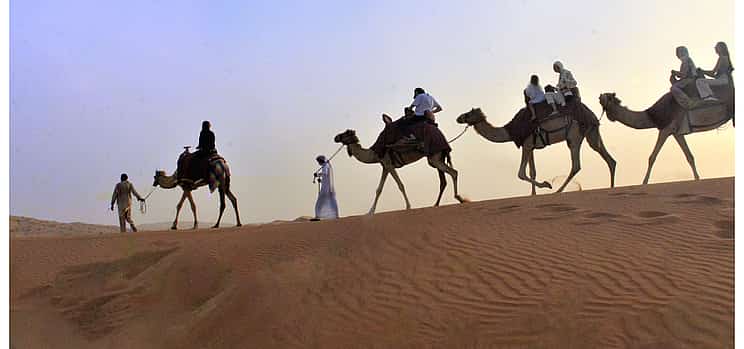 Фото 1 Утренний поход на верблюдах с катанием на квадроциклах