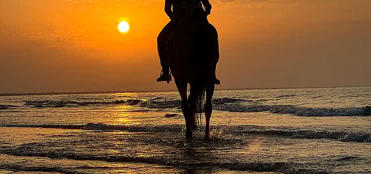 Photo 1 Horse Riding Oman
