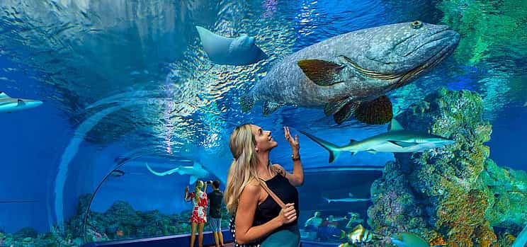 Photo 1 Antalya Aquarium with Entrance & Roundtrip Transfer from Alanya