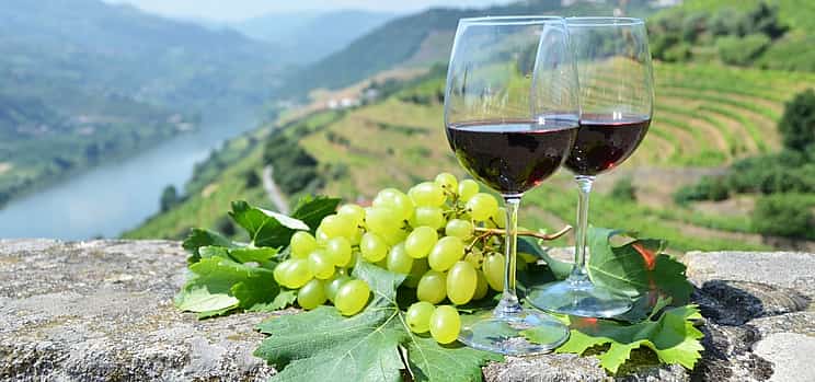 Foto 1 Kleingruppenreise durch das Douro-Tal mit Bootsfahrt und Weinverkostung