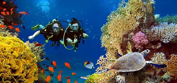 Photo 1 Hurghada Intro Diving